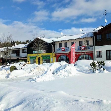 Apartman Leo Nr. 8 Lipno Nad Vltavou Eksteriør billede
