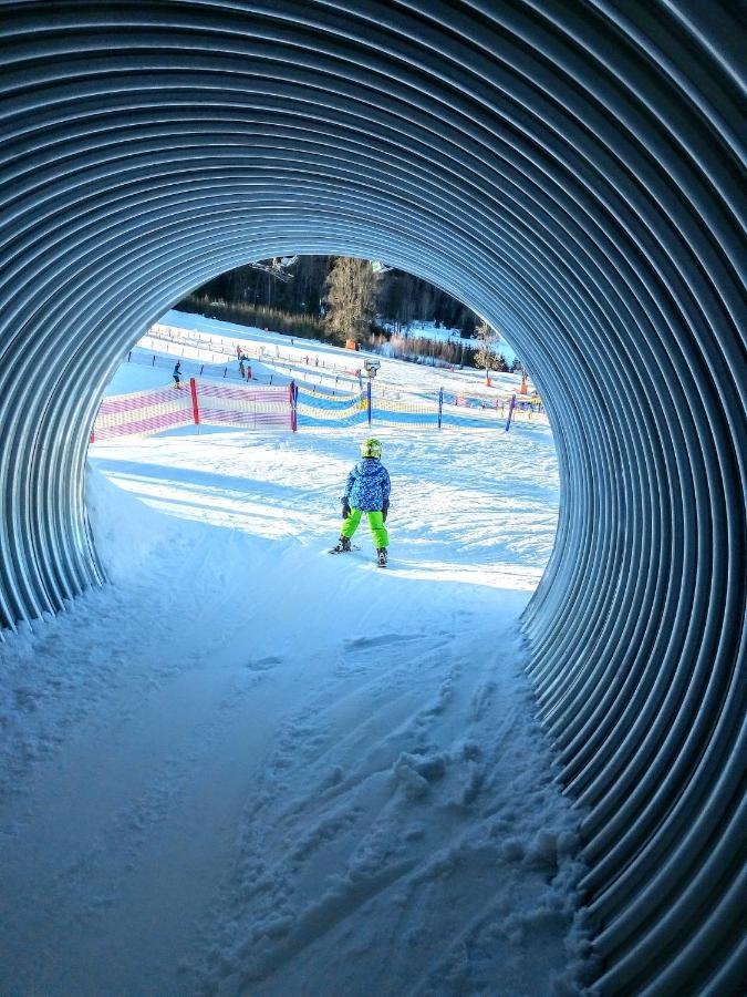 Apartman Leo Nr. 8 Lipno Nad Vltavou Eksteriør billede