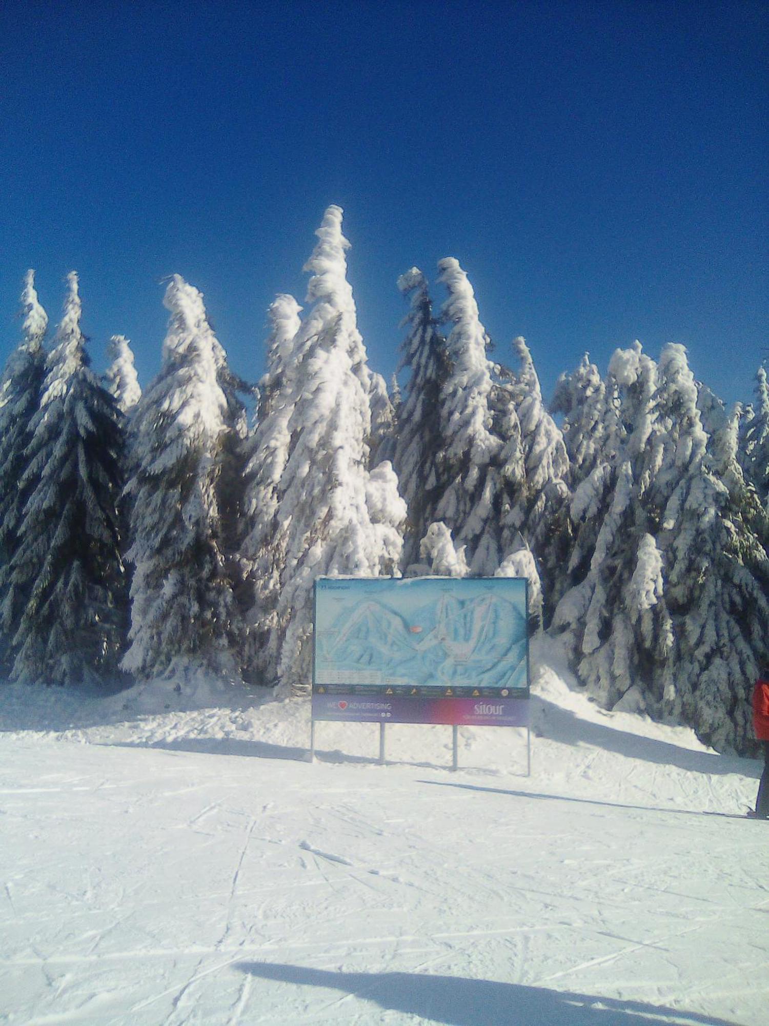 Apartman Leo Nr. 8 Lipno Nad Vltavou Eksteriør billede