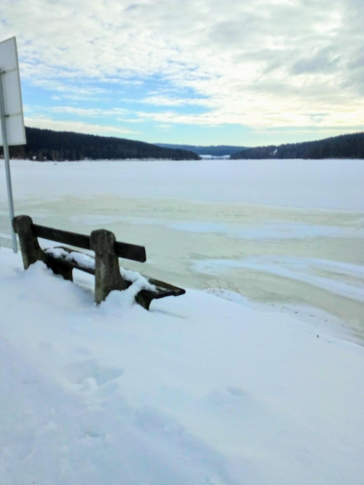 Apartman Leo Nr. 8 Lipno Nad Vltavou Eksteriør billede